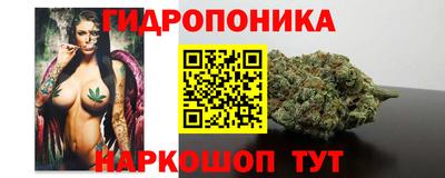 стаф Краснодар