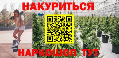 стаф Краснодар