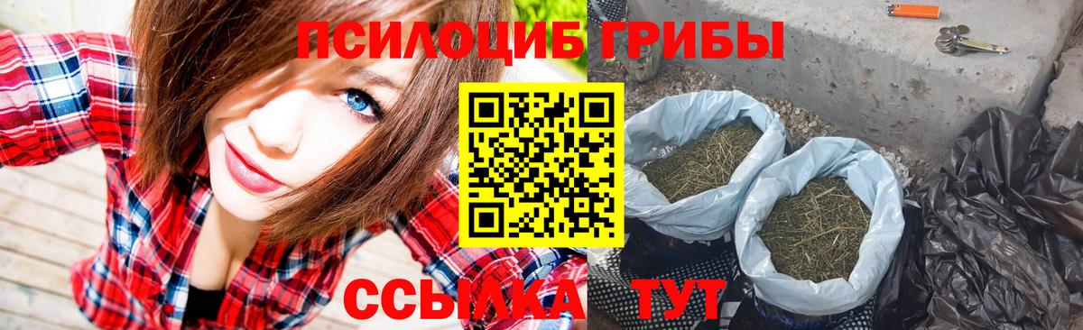 Ипатово  Псилоцибиновые грибы Psilocybe  Вход с VPN 