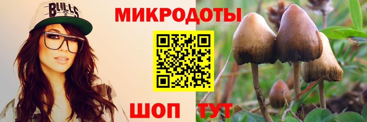 Галлюциногенные грибы Magic Shrooms Ипатово